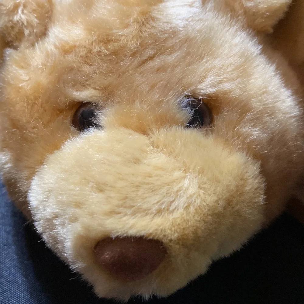 EUC Build-a-bear workshop kids slippers fuzzy 🐻 size 12/13